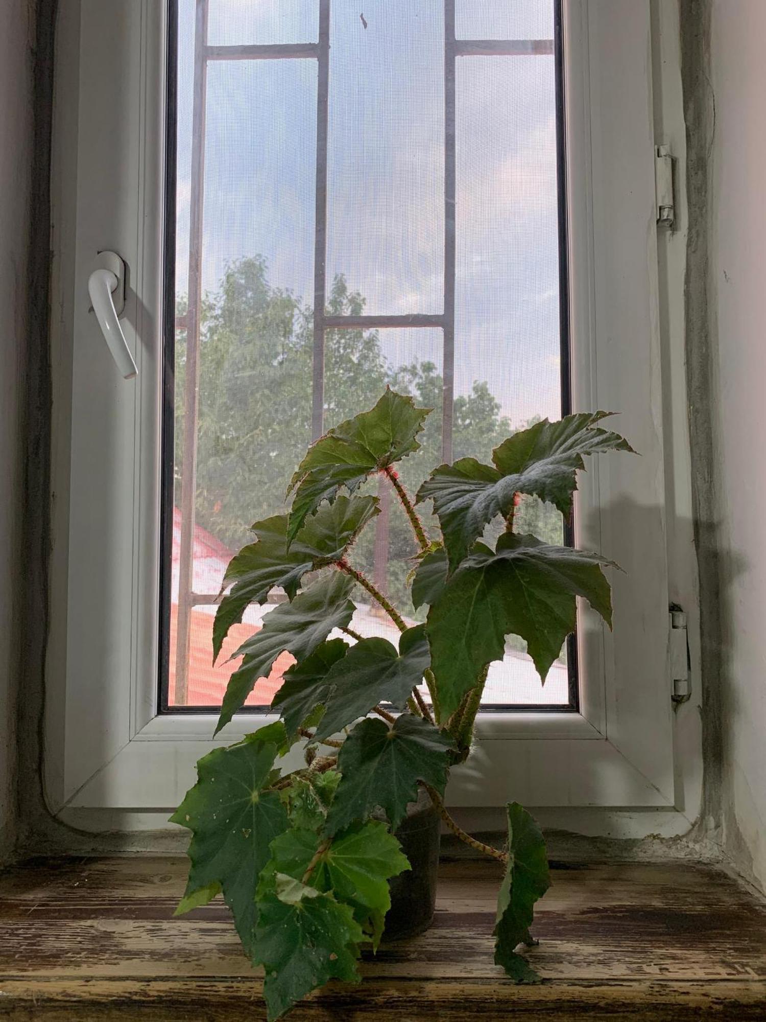 Bozui Hostel Bishkek Bagian luar foto